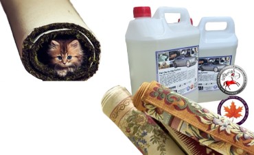 Halı Parfümü Kullanım Ve Özellikleri Halı Parfümü Kullanım Ve Özellikleri